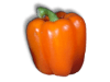 Captcha image 1495